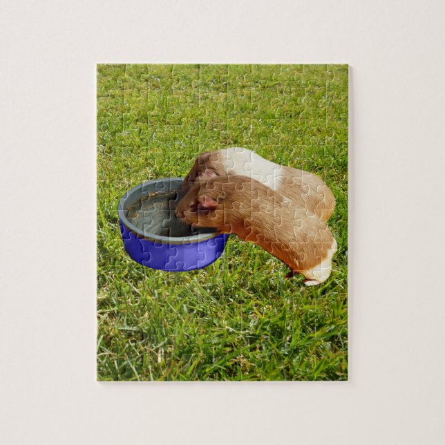 Brown And White Guinea Pigs, Jigsaw Puzzle (Vertical)