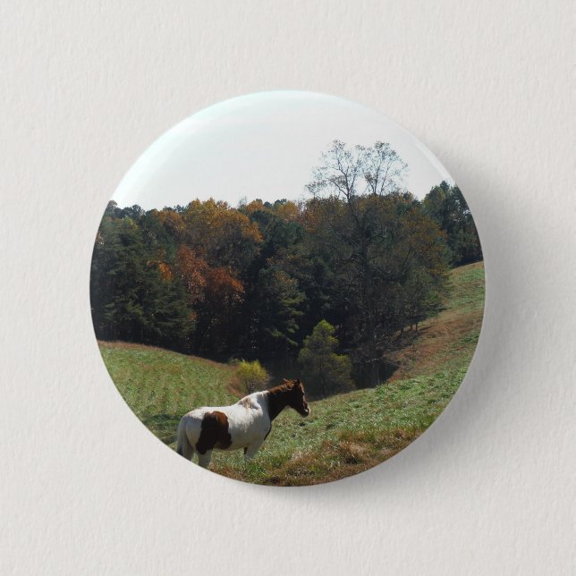 Brown and white horse at autumn pond 6 cm round badge (Front)