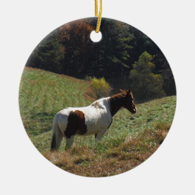 Brown and white horse at autumn pond ceramic ornament (Front)