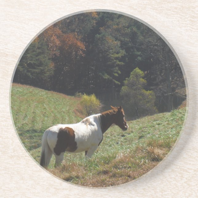 Brown and white horse at autumn pond coaster (Front)