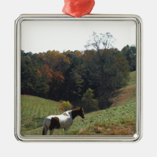 Brown and white horse at autumn pond metal ornament