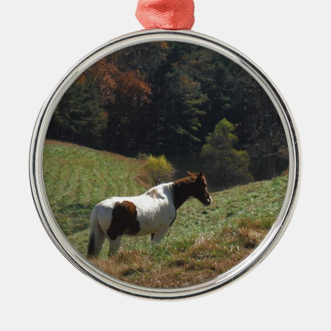 Brown and white horse at autumn pond metal ornament (Front)