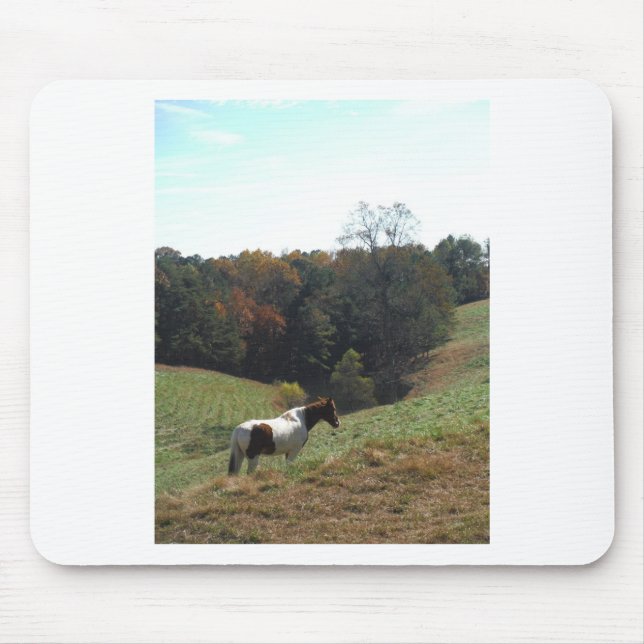 Brown and white horse at autumn pond mouse pad (Front)