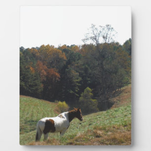 Brown and white horse at autumn pond plaque