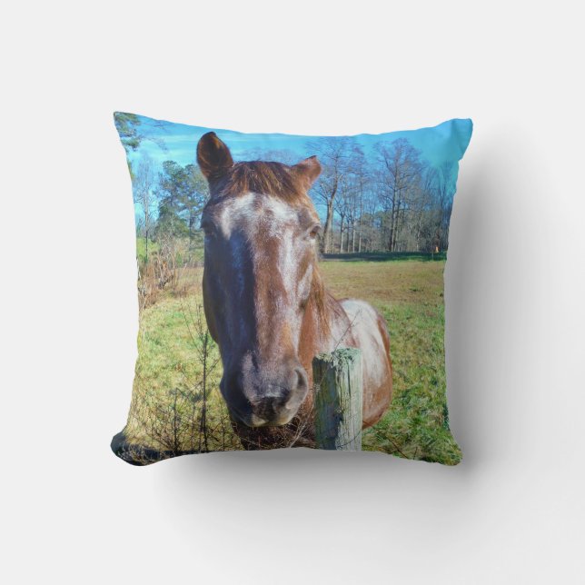 Brown and white horse cushion (Front)