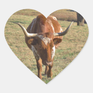 Brown and White Longhorn Bull Blue Sky Heart Sticker