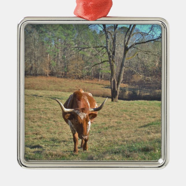 Brown and White Longhorn Bull Blue Sky Metal Tree Decoration (Front)
