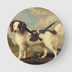 Brown and White Norfolk or Water Spaniel, 1778 (oi Round Clock