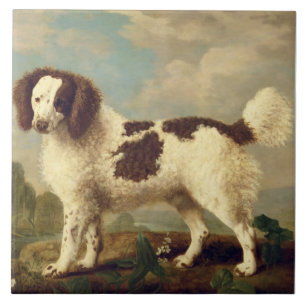 Brown and White Norfolk or Water Spaniel, 1778 (oi Tile