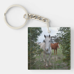 Brown And White Peekaboo Horses,- Key Ring
