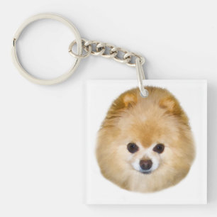 Brown and White Pomeranian Dog Key Ring