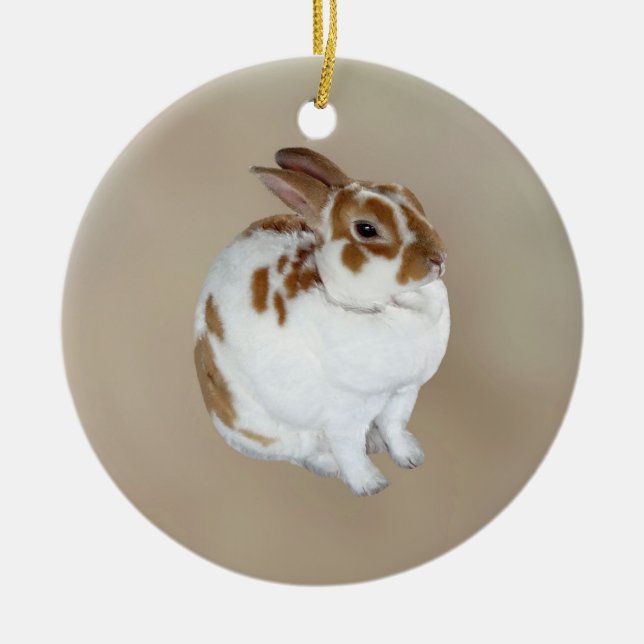 Brown and White Rex Rabbit Ceramic Ornament (Front)