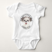 Brown and White Shih Tzu Brother