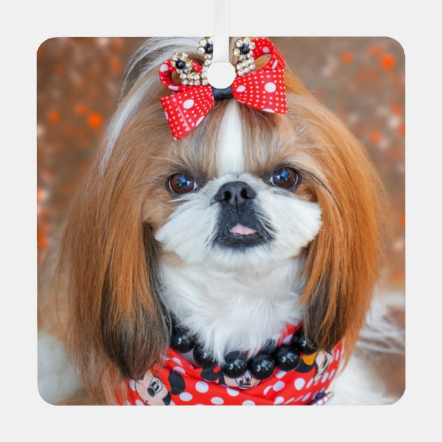 Brown and White Shih Tzu Puppy Dog Metal Tree Decoration (Front)