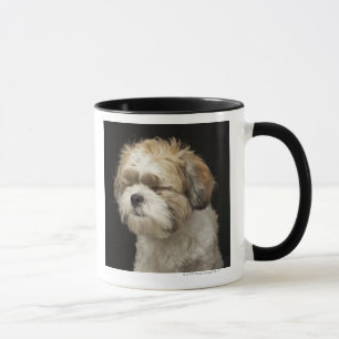 Brown and white Shih Tzu with eyes closed Mug