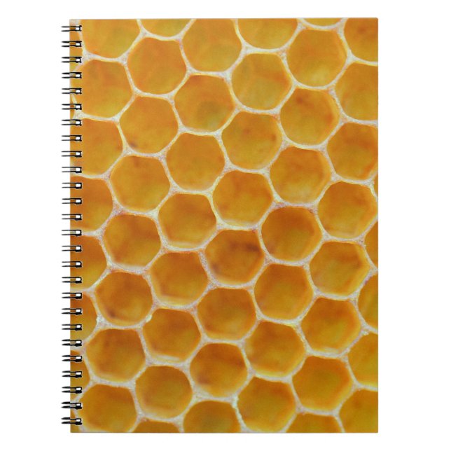 Brown and white square pattern notebook (Front)