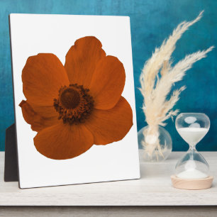 Brown Anemone Plaque