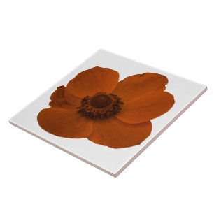 Brown Anemone Tile