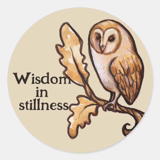Brown Barn Owl                                     Classic Round Sticker (Front)