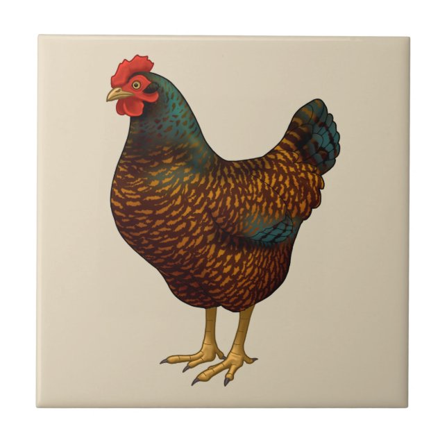 Brown Barnevelder Hen Chicken Ceramic Tile (Front)