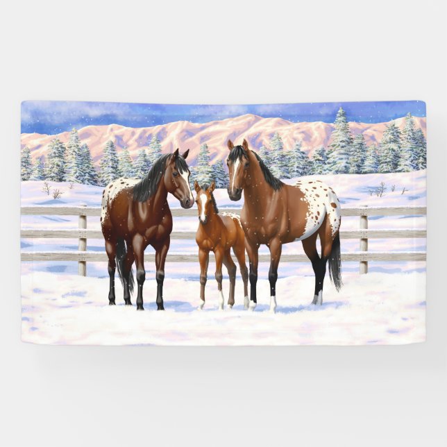 Brown Bay Appaloosa Horses In Snow Banner (Horizontal)