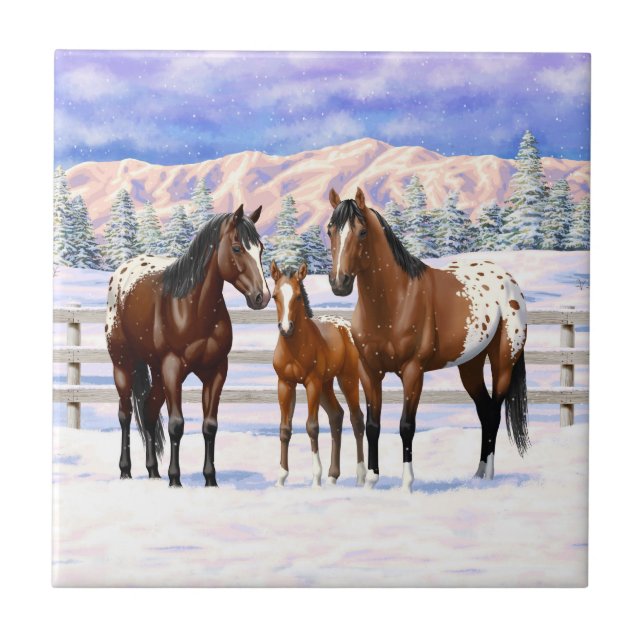Brown Bay Appaloosa Horses In Snow Ceramic Tile (Front)