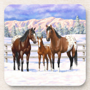 Brown Bay Appaloosa Horses In Snow Coaster