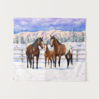 Brown Bay Appaloosa Horses In Snow