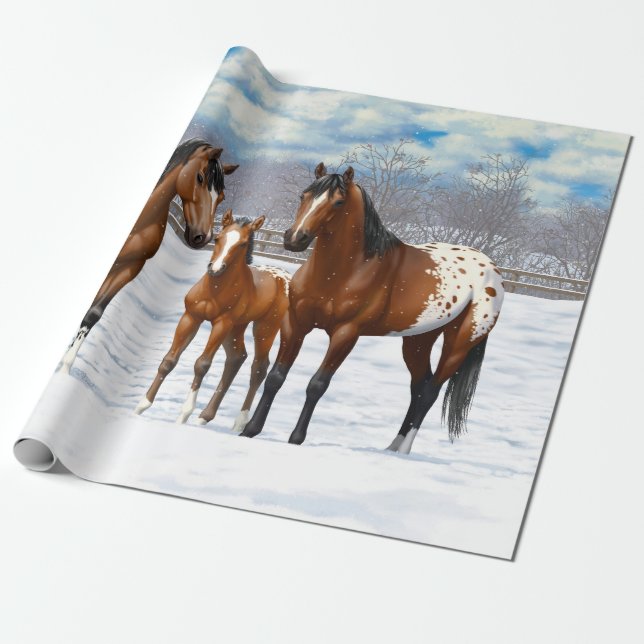 Brown Bay Appaloosa Horses In Snow Wrapping Paper (Unrolled)