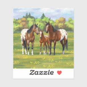 Brown Bay Appaloosa Horses In Summer Pasture