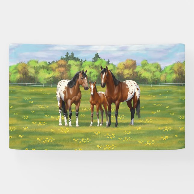 Brown Bay Appaloosa Horses In Summer Pasture Banner (Horizontal)