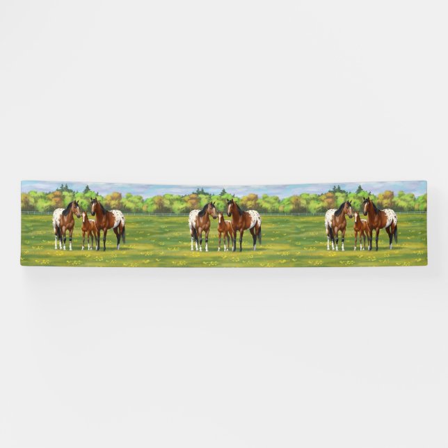 Brown Bay Appaloosa Horses In Summer Pasture Banner (Horizontal)