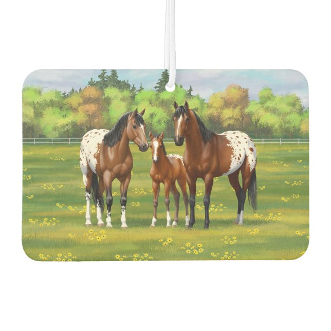 Brown Bay Appaloosa Horses In Summer Pasture Car Air Freshener (Front)
