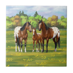 Brown Bay Appaloosa Horses In Summer Pasture Ceramic Tile