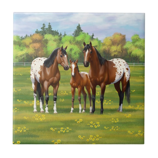 Brown Bay Appaloosa Horses In Summer Pasture Ceramic Tile (Front)
