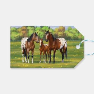 Brown Bay Appaloosa Horses In Summer Pasture Gift Tags