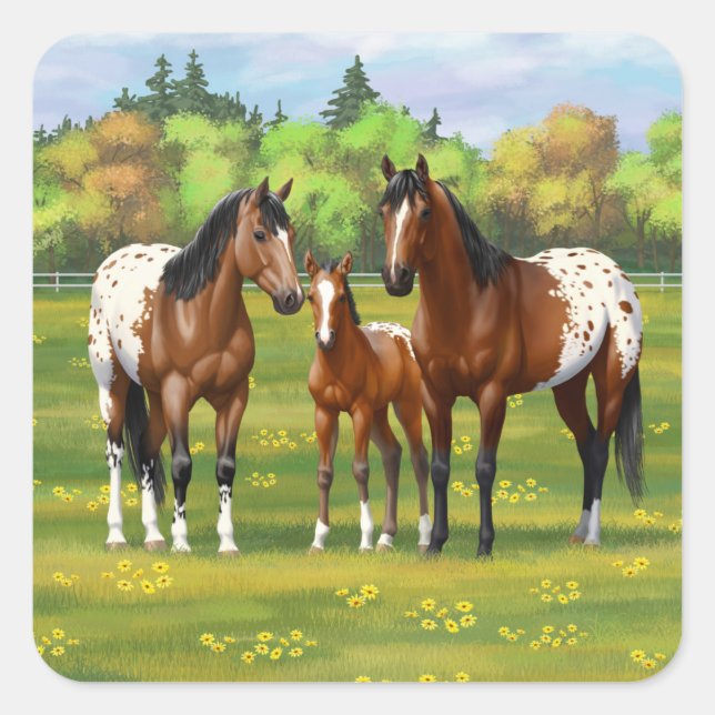 Brown Bay Appaloosa Horses In Summer Pasture Square Sticker (Front)