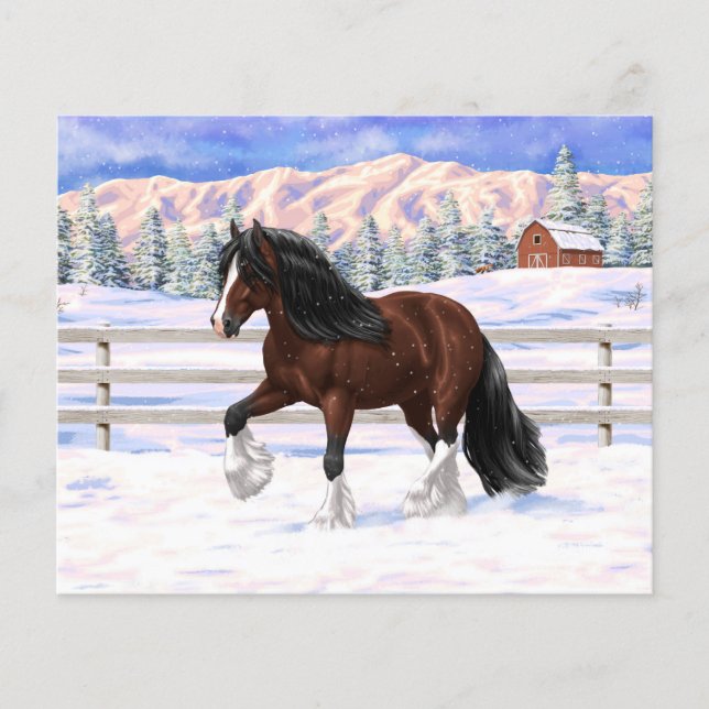 Brown Bay Gypsy Vanner Draught Horse In Snow (Front)