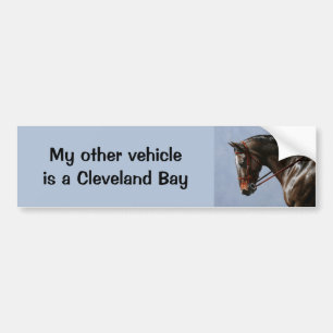 Brown Bay Oldenburg Horse Portrait Bumper Sticker