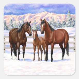 Brown Bay Quarter Horses In Snow Square Sticker