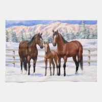 Brown Bay Quarter Horses In Snow