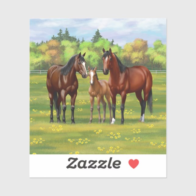 Brown Bay Quarter Horses In Summer Pasture (Sheet)