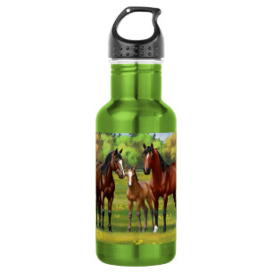 Brown Bay Quarter Horses In Summer Pasture 532 Ml Water Bottle