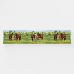 Brown Bay Quarter Horses In Summer Pasture Banner