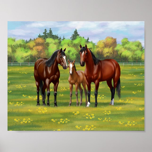 Brown Bay Quarter Horses In Summer Pasture Poster (Front)