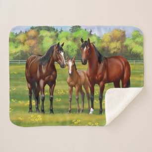 Brown Bay Quarter Horses In Summer Pasture Sherpa Blanket