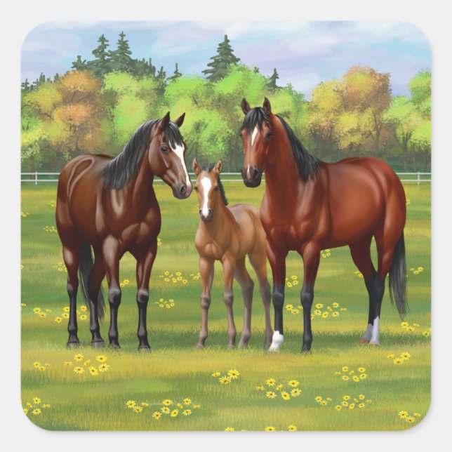 Brown Bay Quarter Horses In Summer Pasture Square Sticker (Front)
