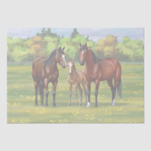 Brown Bay Quarter Horses In Summer Pasture Tissue Paper