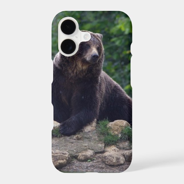 Brown bear (Back)