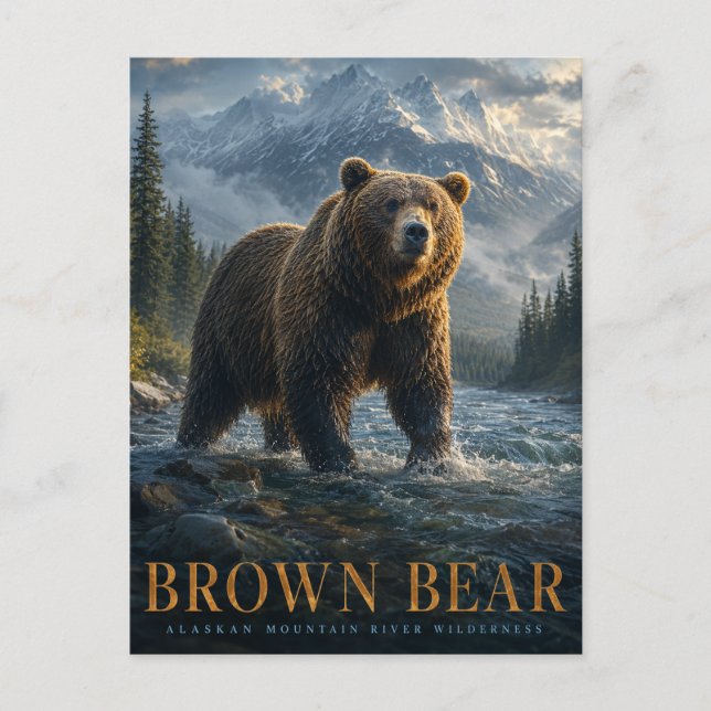 Brown Bear Alaskan River ANIMALS Postcard (Front)